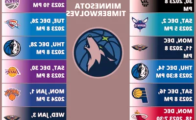 Minnesota Timberwolves