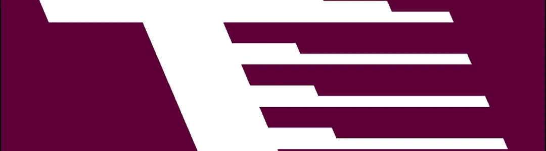 Toronto Tempo