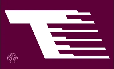Toronto Tempo