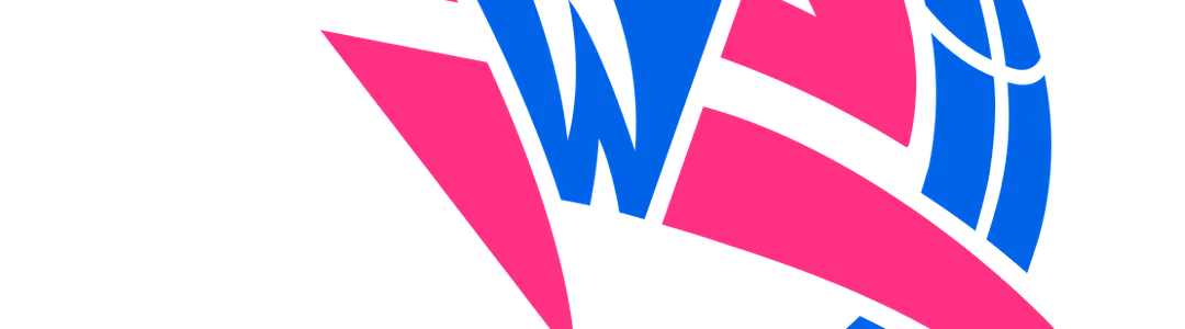Washington Wizards